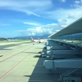 terminal aeroporto guarulhos